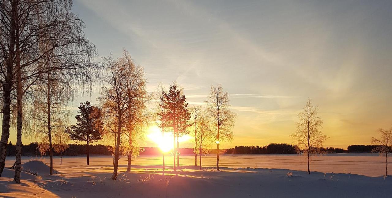 Horrmundsgarden I Saelen Bed & Breakfast Horrmunden Екстериор снимка
