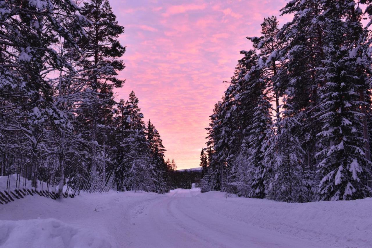 Horrmundsgarden I Saelen Bed & Breakfast Horrmunden Екстериор снимка